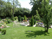 Friedhof_S9 B3
